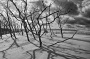Balt - Slowinski park narodowy 27